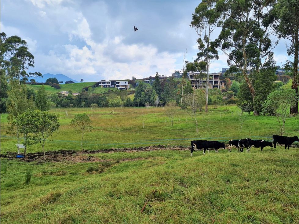 Lote en venta Antioquia Medellín Medellín 12000 m2 Habitaciones 0 Baños 0 Garajes 0 Precio $4990000000