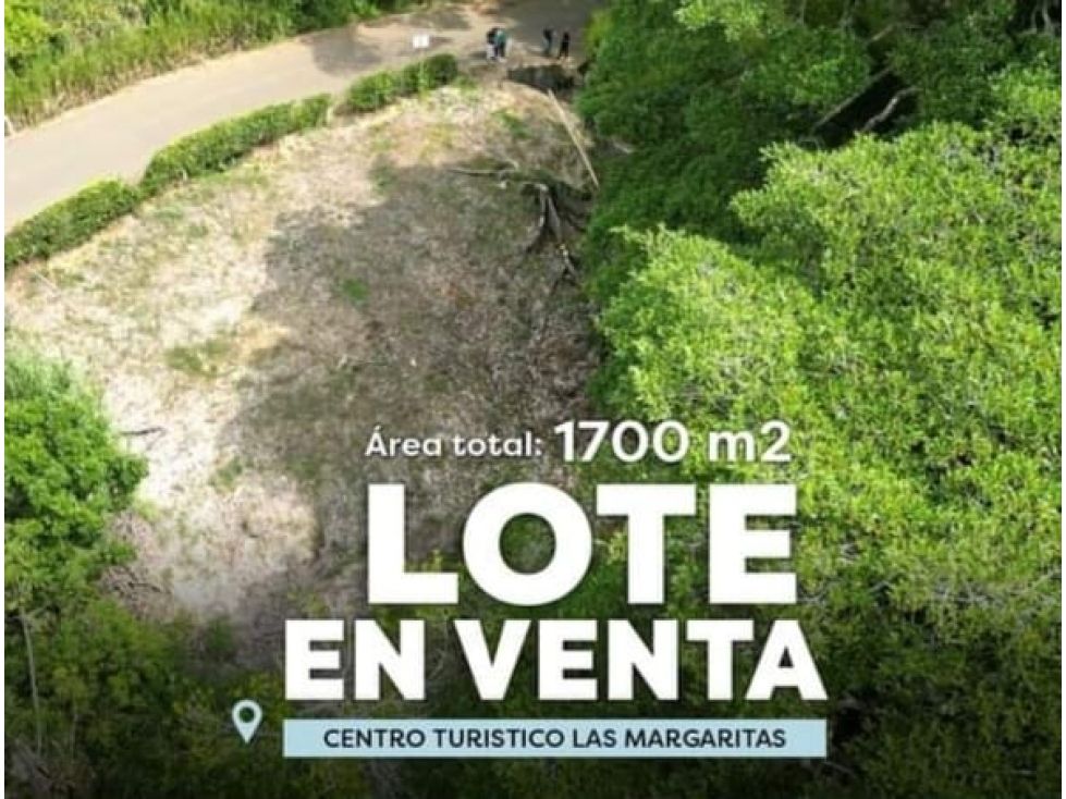 Lote en venta Caldas Manizales Manizales 1700 m2 Habitaciones 0 Baños 0 Garajes 0 Precio $285000000