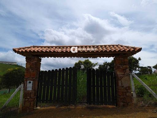 Lote en venta Santander Los Santos Los Santos 250 m2 Habitaciones 0 Baños 0 Garajes 0 Precio $160000000