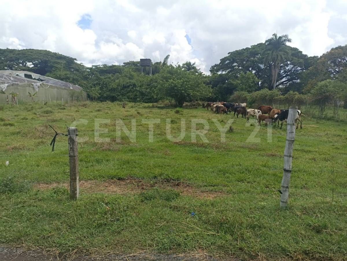 Lote en venta Valle Del Cauca Ginebra Ginebra 0 m2 Habitaciones 0 Baños 0 Garajes 0 Precio $350000000