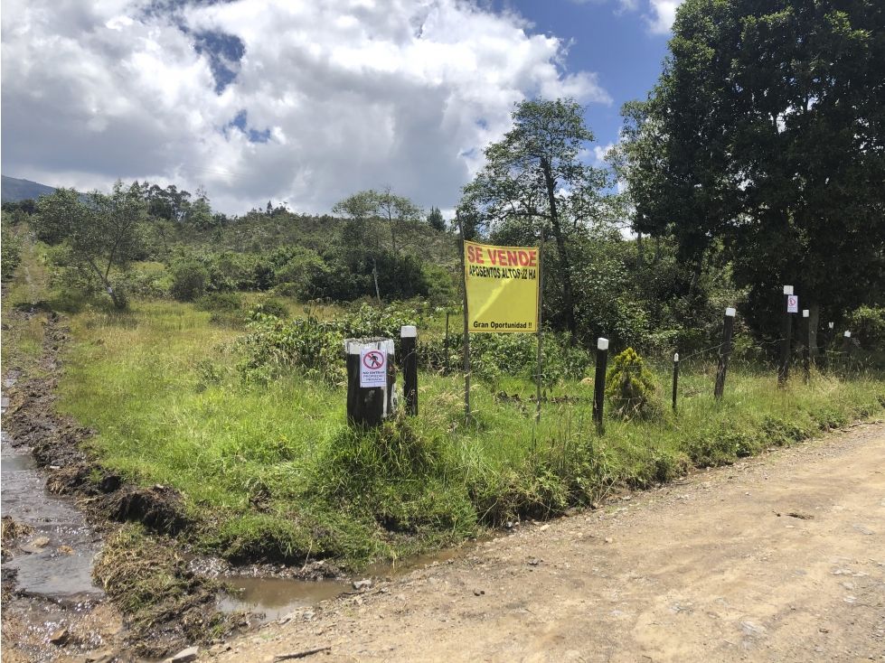 Lote en venta Boyacá Tinjacá Tinjacá 22000 m2 Habitaciones 0 Baños 0 Garajes 0 Precio $1500000000