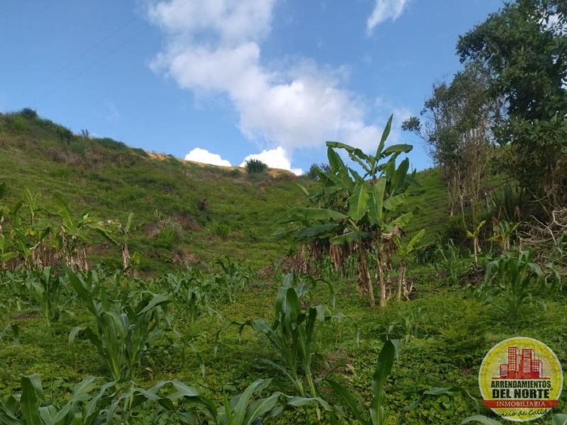 Lote en venta Antioquia San Vicente San Vicente 5100 m2 Habitaciones 0 Baños 1 Garajes 0 Precio $220000000