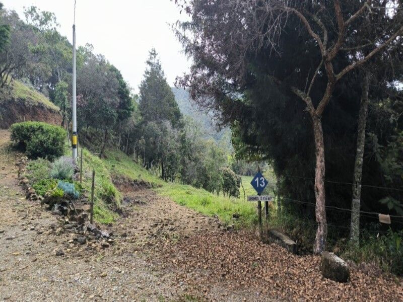 Lote en venta Antioquia Medellín Medellín 12155 m2 Habitaciones 0 Baños 0 Garajes 0 Precio $1093950000