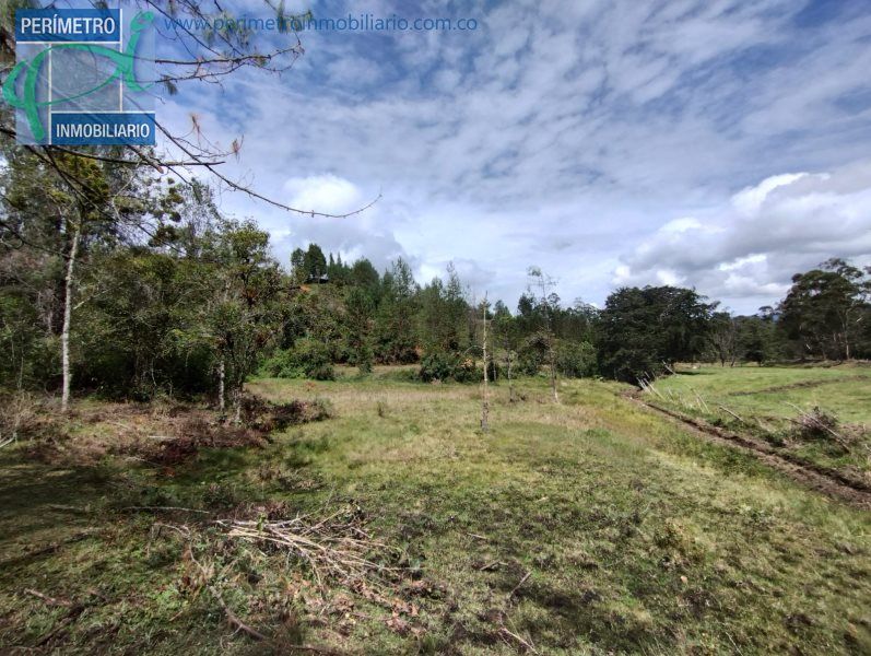 Lote en venta Antioquia El Retiro El Retiro 13995 m2 Habitaciones 0 Baños 0 Garajes 0 Precio $800000000