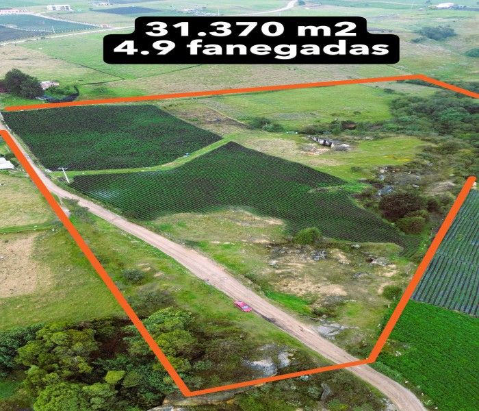 Finca en venta Cundinamarca Sibaté La Inmaculada 0 m2 Habitaciones 0 Baños 0 Garajes 15 Precio $210000000