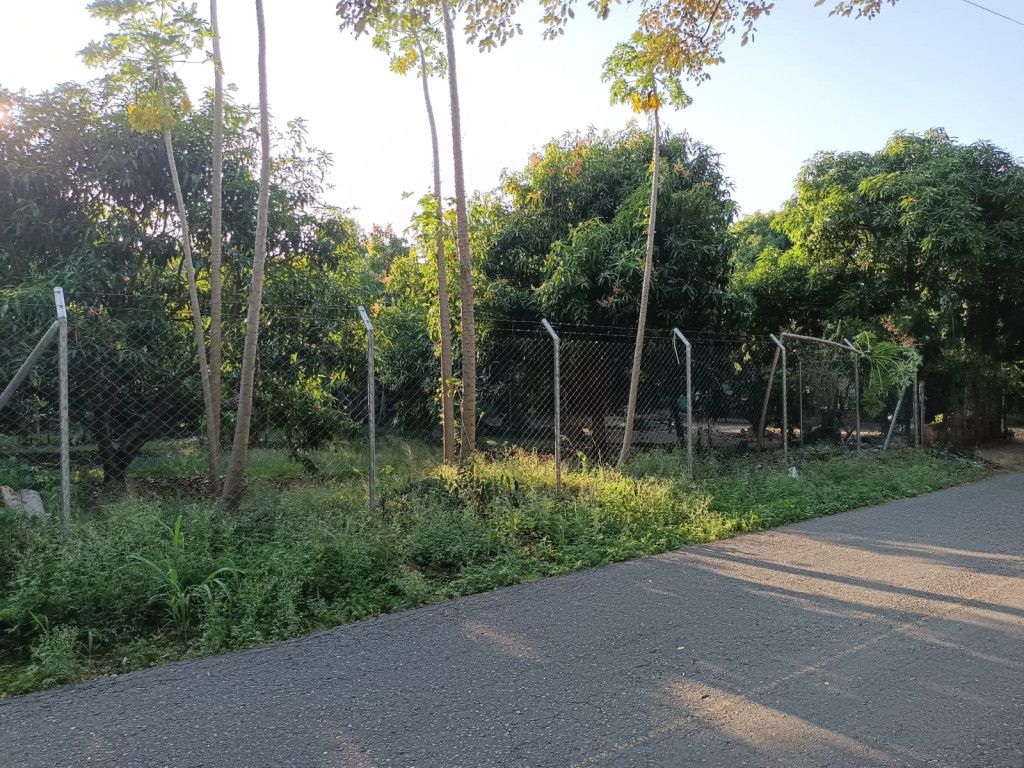 Lote en venta Tolima Coello Coello 0 m2 Habitaciones 0 Baños 0 Garajes 0 Precio $150000000