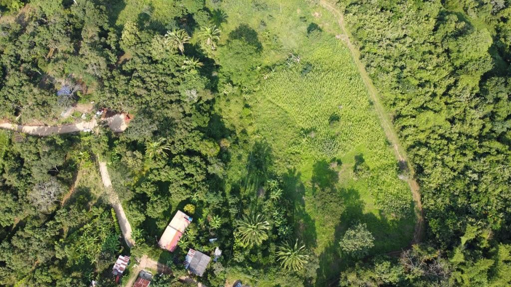 Lote en venta Cundinamarca Anapoima Anapoima 0 m2 Habitaciones 0 Baños 0 Garajes 0 Precio $280000000