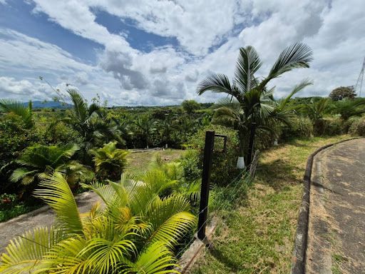 Lote en venta Risaralda Pereira Pereira 1000 m2 Habitaciones 0 Baños 0 Garajes 0 Precio $2100000000