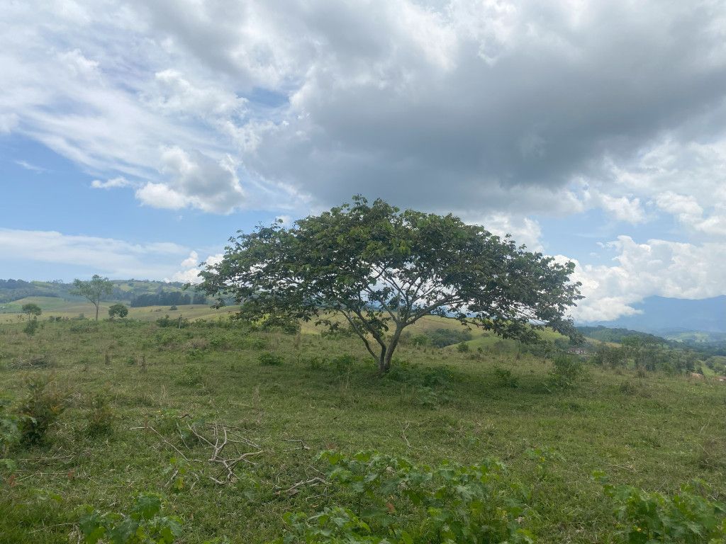Lote en venta Valle Del Cauca Vijes Vijes 0 m2 Habitaciones 0 Baños 0 Garajes 0 Precio $470000000