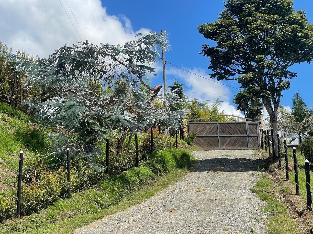 Lote en venta Antioquia Rionegro Rionegro 0 m2 Habitaciones 0 Baños 0 Garajes 0 Precio $290000000