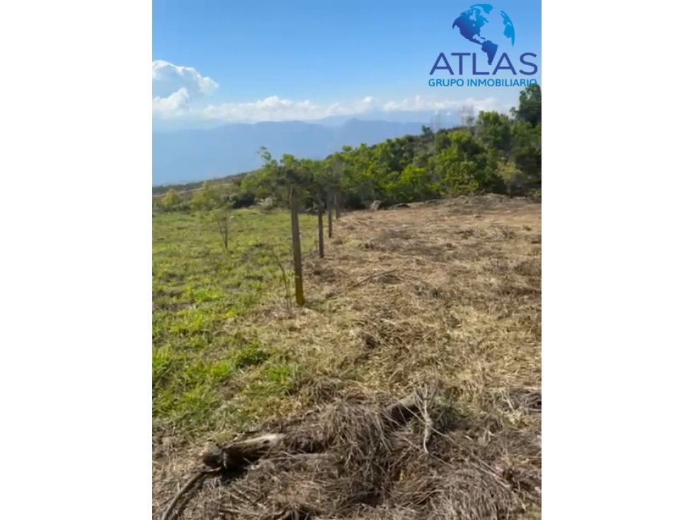 Lote en venta Santander Los Santos Los Santos 2953 m2 Habitaciones 0 Baños 1 Garajes 0 Precio $150000000