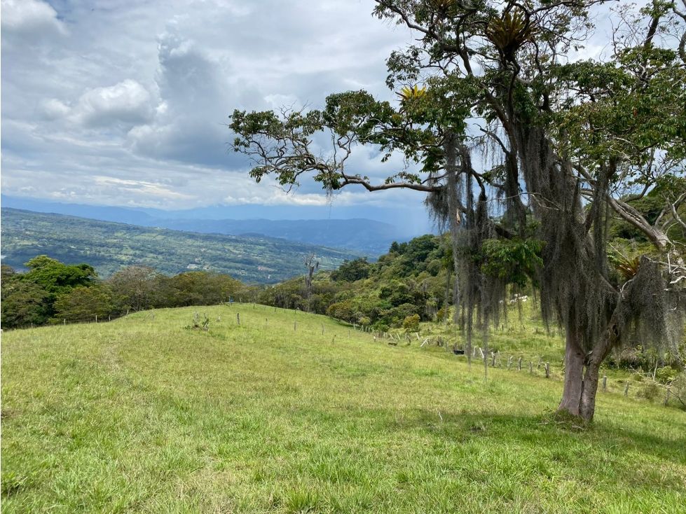 Lote en venta Boyacá Moniquirá Moniquira 2 m2 Habitaciones 0 Baños 0 Garajes 0 Precio $720000000