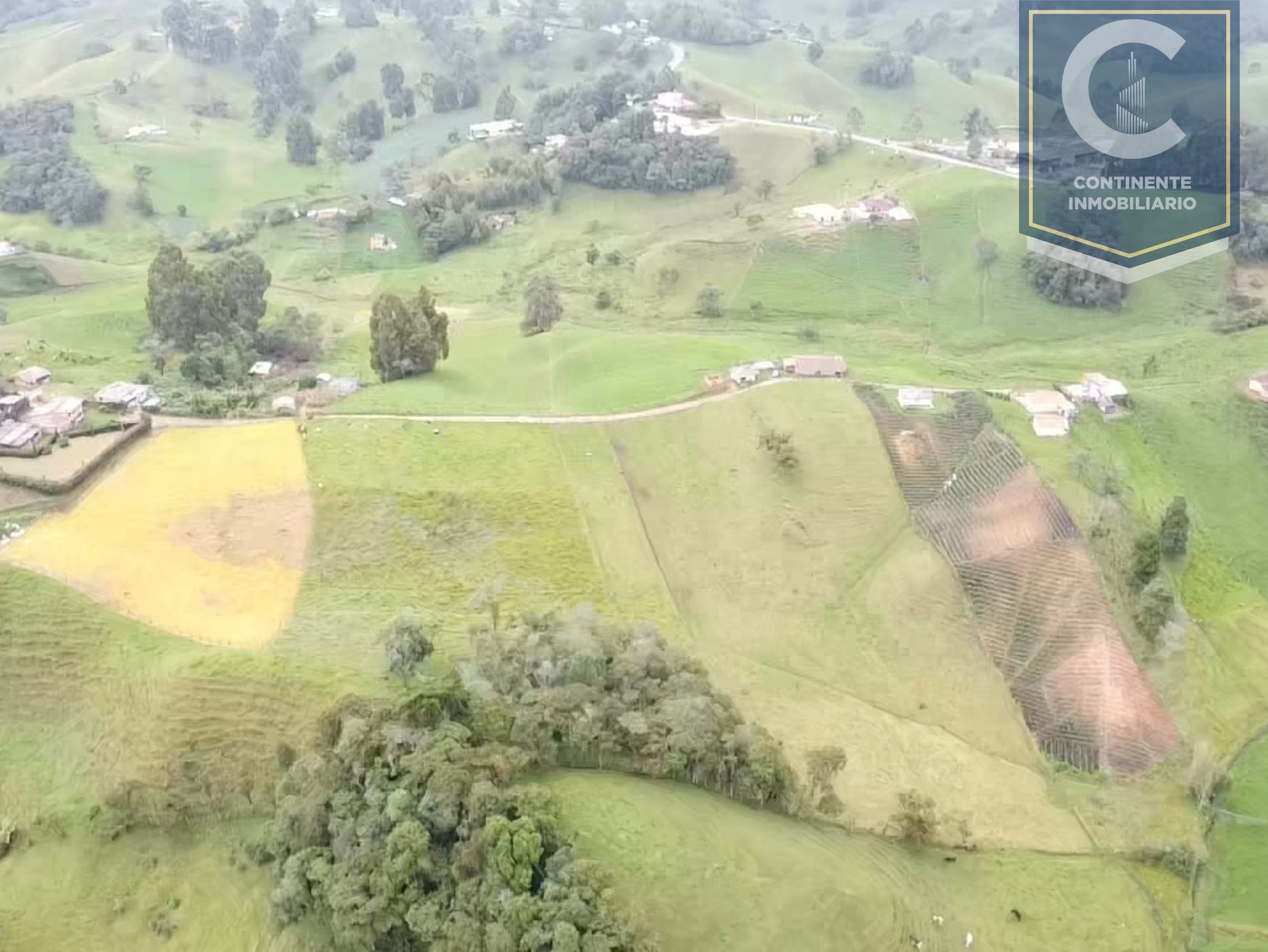 Lote en venta Antioquia San Pedro Paraje La María 1813 m2 Habitaciones 0 Baños 0 Garajes 0 Precio $271050000