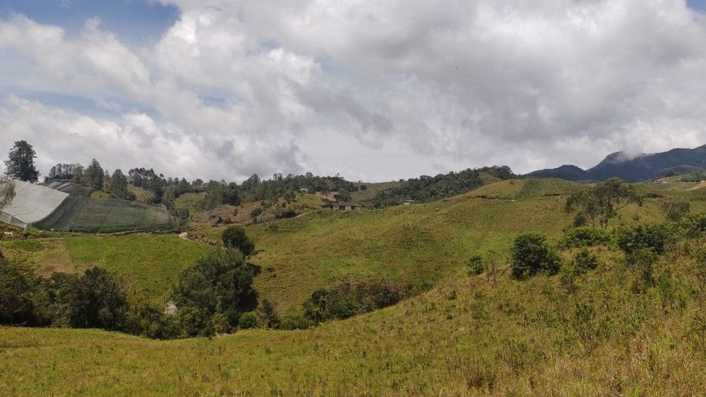 Finca en venta Antioquia Abejorral Abejorral 60 m2 Habitaciones 0 Baños 0 Garajes 0 Precio $1000000000