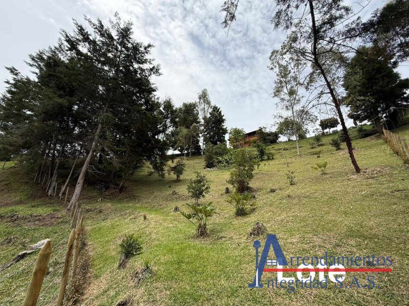 Casa en venta Antioquia Rionegro Centro 2950 m2 Habitaciones 4 Baños 3 Garajes 0 Precio $700000000