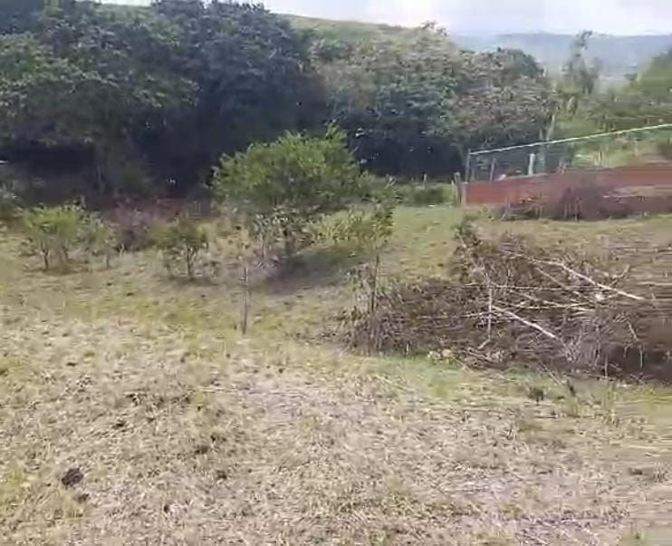 Lote en venta Valle Del Cauca La Cumbre La Cumbre 0 m2 Habitaciones 0 Baños 0 Garajes 0 Precio $120000000