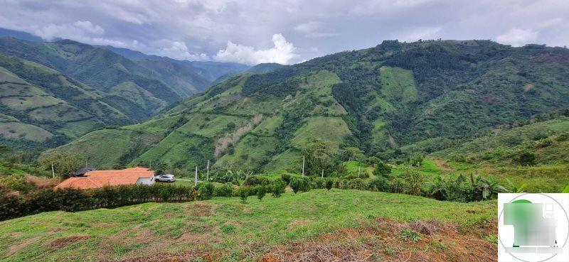 Lote en venta Quindío Armenia Armenia 1 m2 Habitaciones 0 Baños 0 Garajes 0 Precio $230000000