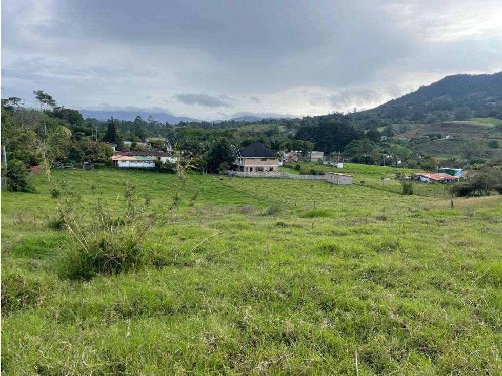 Lote en venta Antioquia El Carmen De Viboral El Carmen De Viboral 3350 m2 Habitaciones 0 Baños 0 Garajes 1 Precio $1200000000