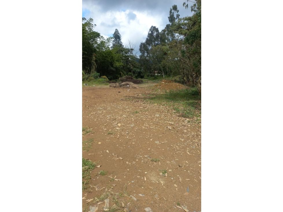 Lote en arriendo Antioquia Rionegro Rionegro 5000 m2 Habitaciones 0 Baños 0 Garajes 0 Precio $3500000