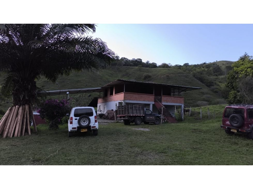 Finca en venta Valle Del Cauca Guacarí Guacarí 768000 m2 Habitaciones 0 Baños 0 Garajes 0 Precio $3900000000