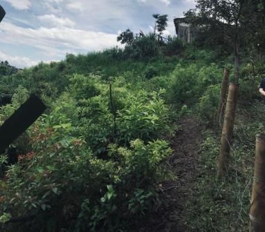 Lote en venta Caldas Manizales Manizales 238000 m2 Habitaciones 0 Baños 0 Garajes 0 Precio $850000000