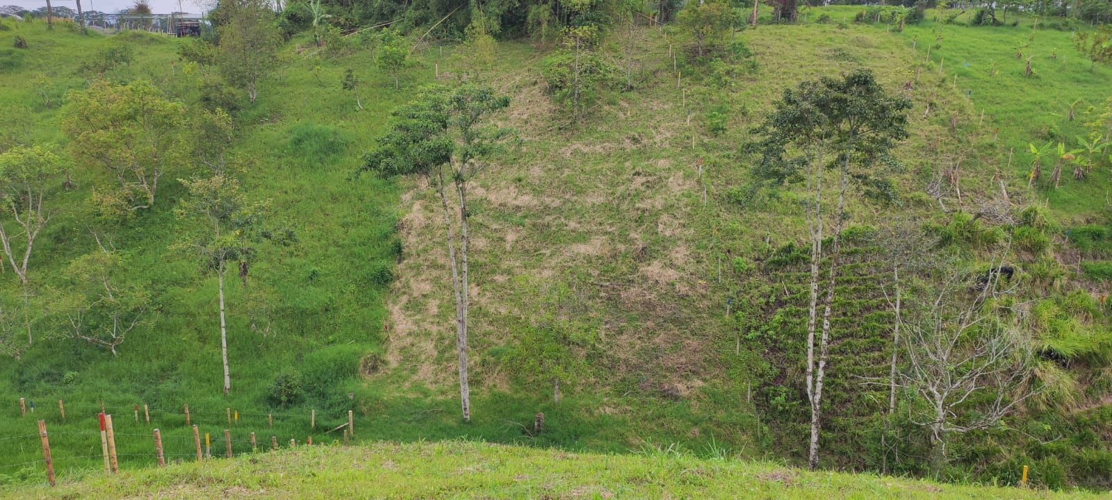 Lote en venta Valle Del Cauca Alcalá Alcala 2830 m2 Habitaciones 0 Baños 0 Garajes 0 Precio $180000000