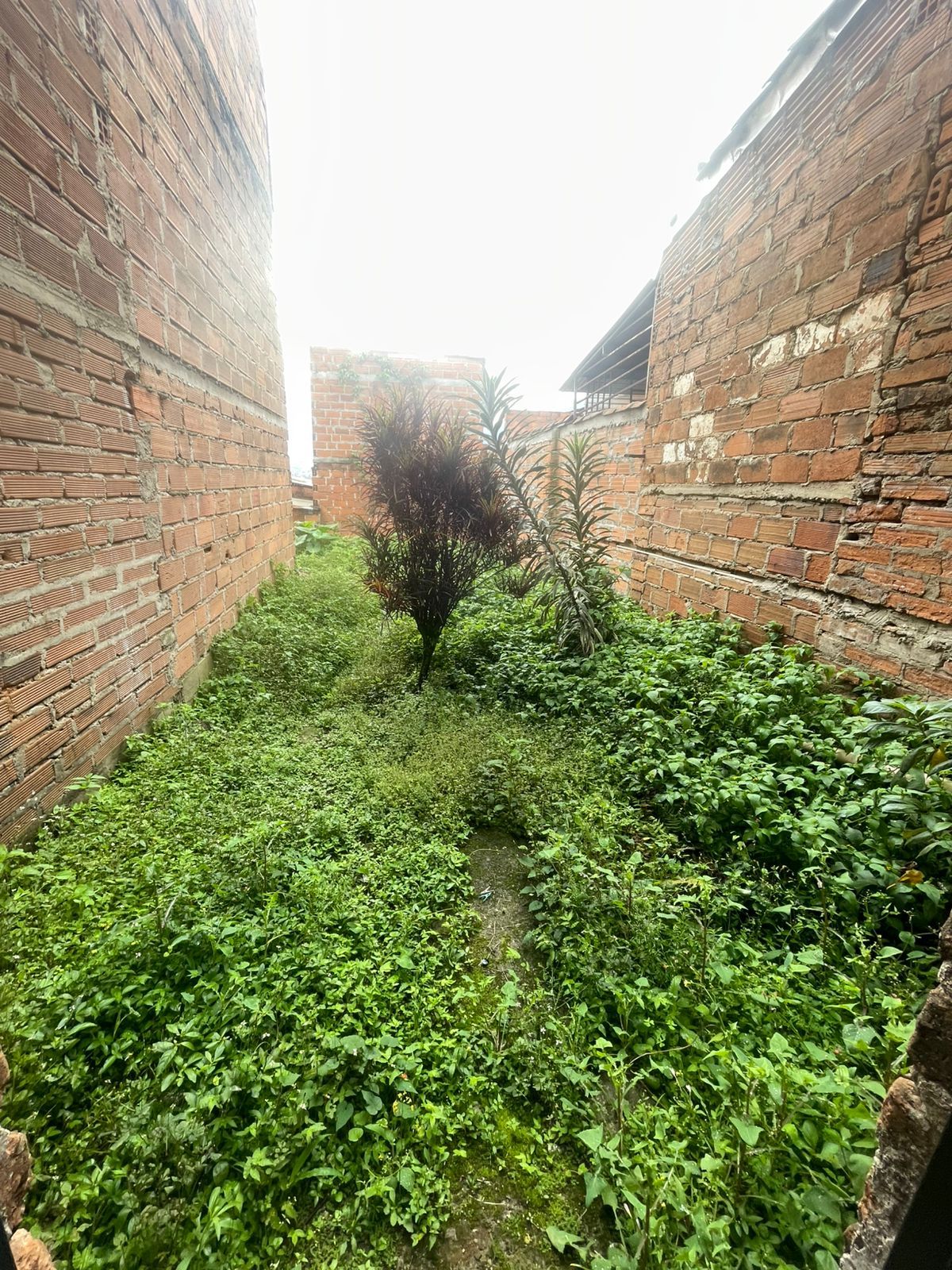 Casa en venta Antioquia Medellín Palermo 120 m2 Habitaciones 1 Baños 1 Garajes 0 Precio $270000000