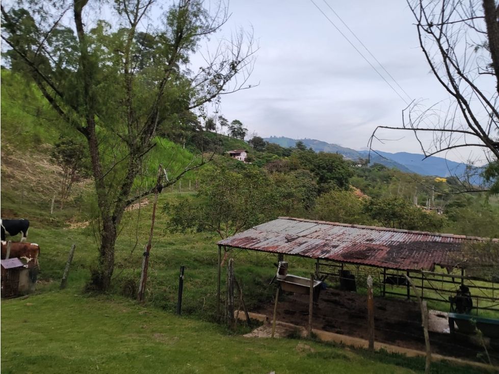 Lote en venta Antioquia Amagá Amagá 7742 m2 Habitaciones 0 Baños 0 Garajes 0 Precio $900000000