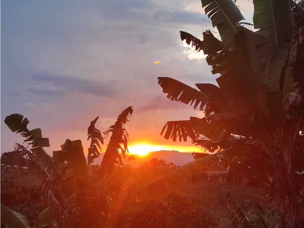 Finca en venta Valle Del Cauca Ulloa Ulloa 450 m2 Habitaciones 5 Baños 3 Garajes 0 Precio $700000000