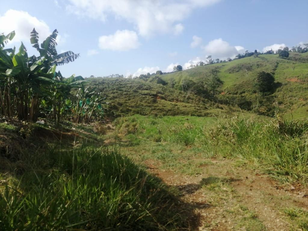 Finca en venta Valle Del Cauca Cali Cali 518400 m2 Habitaciones 0 Baños 0 Garajes 0 Precio $2000000000