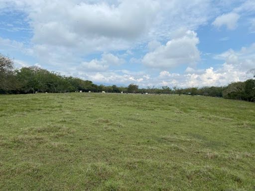 Lote en venta Tolima Ibagué Br Santa Rita 52427 m2 Habitaciones 0 Baños 0 Garajes 0 Precio $8900000000