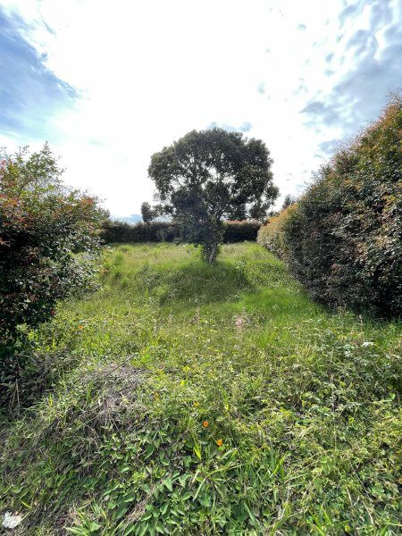 Lote en venta Antioquia Guarne Guarne 1610 m2 Habitaciones 0 Baños 0 Garajes 0 Precio $320000000