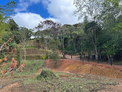 Lote en venta Antioquia El Carmen De Viboral La Alhambra 3300 m2 Habitaciones 0 Baños 0 Garajes 0 Precio $450000000