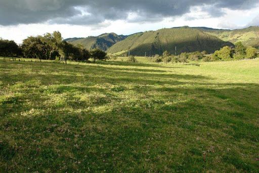 Lote en venta Cundinamarca La Calera La Calera 49608 m2 Habitaciones 0 Baños 0 Garajes 0 Precio $2460953664