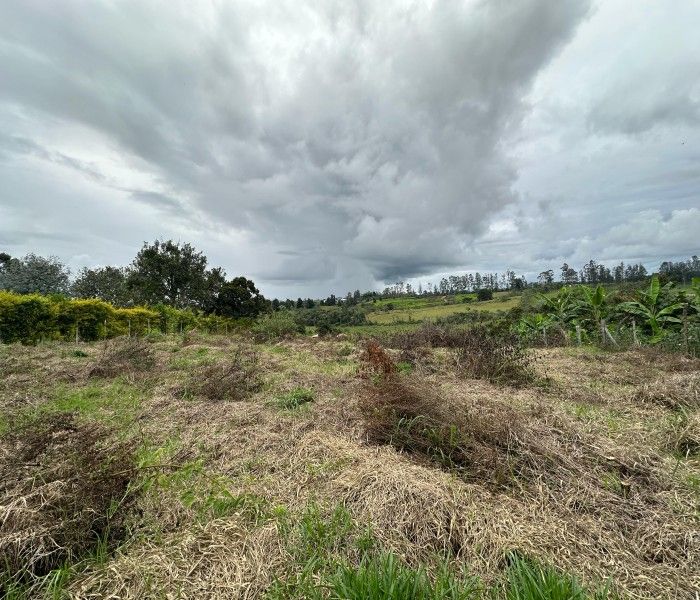 Lote en venta Cauca Popayán Cadillal 0 m2 Habitaciones 0 Baños 0 Garajes 0 Precio $1200000000