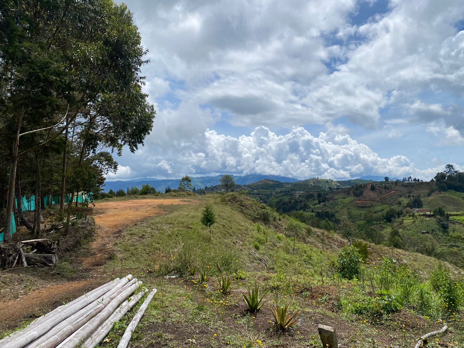 Lote en venta Antioquia Girardota Centro 0 m2 Habitaciones 0 Baños 0 Garajes 0 Precio $1440000000