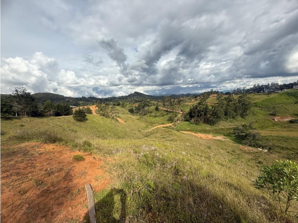 Lote en venta Antioquia San Vicente San Vicente 4828 m2 Habitaciones 0 Baños 0 Garajes 0 Precio $429500000