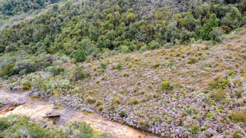 Lote en venta Cundinamarca Sopó Sopó 0 m2 Habitaciones 0 Baños 0 Garajes 0 Precio $525000000