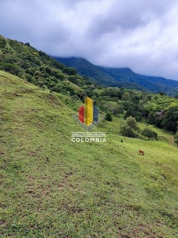 Finca en venta Tolima Alvarado El Diamante 140000 m2 Habitaciones 3 Baños 2 Garajes 0 Precio $600000000