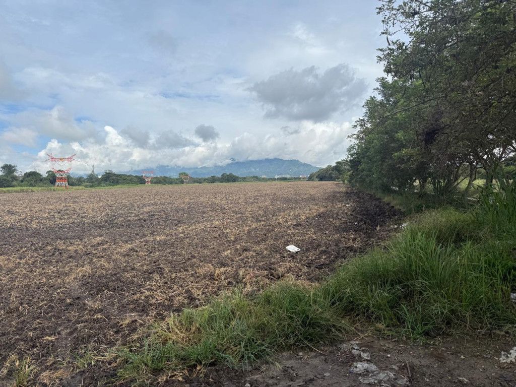 Lote en venta Tolima Ibagué Ibagué 0 m2 Habitaciones 0 Baños 0 Garajes 0 Precio $27554000000