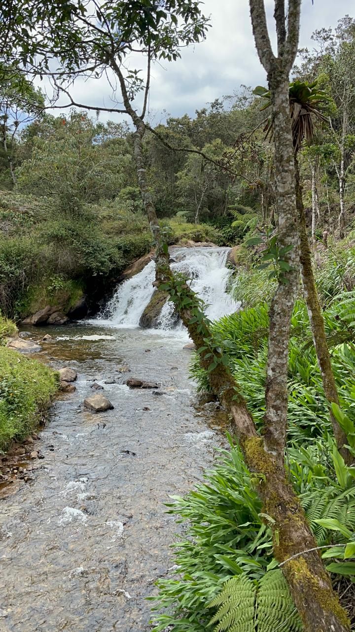 Lote en venta Antioquia El Retiro El Retiro 10000 m2 Habitaciones 0 Baños 0 Garajes 0 Precio $750000000