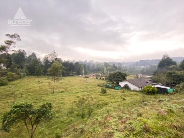 Lote en venta Antioquia Guarne Santo Tomás 11169 m2 Habitaciones 0 Baños 0 Garajes 0 Precio $1100000000