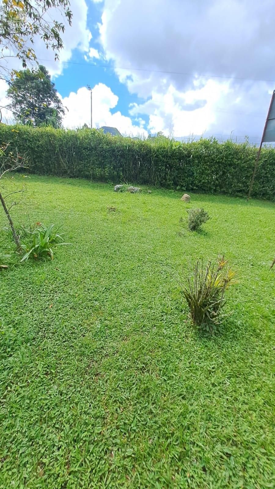 Lote en arriendo Cundinamarca La Vega La Vega 150 m2 Habitaciones 0 Baños 0 Garajes 1 Precio $3000000