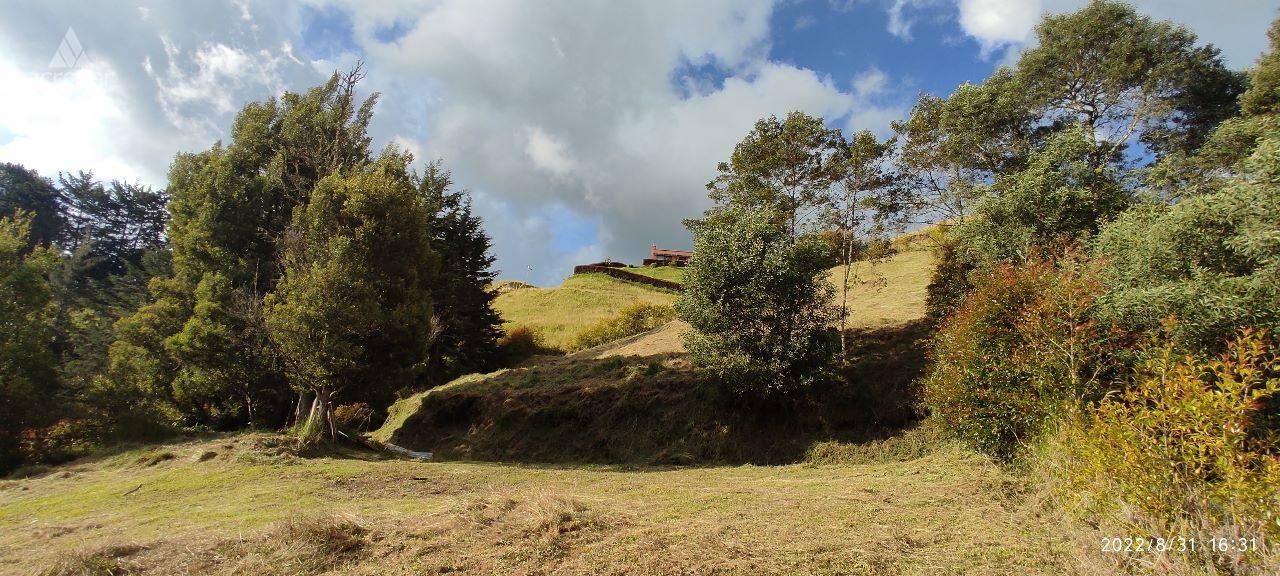 Lote en venta Antioquia El Retiro El Retiro 2070 m2 Habitaciones 0 Baños 0 Garajes 0 Precio $579000000