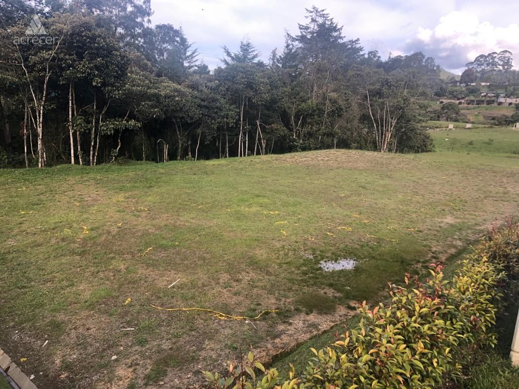 Lote en venta Antioquia El Retiro El Retiro 1484 m2 Habitaciones 0 Baños 0 Garajes 0 Precio $900000000