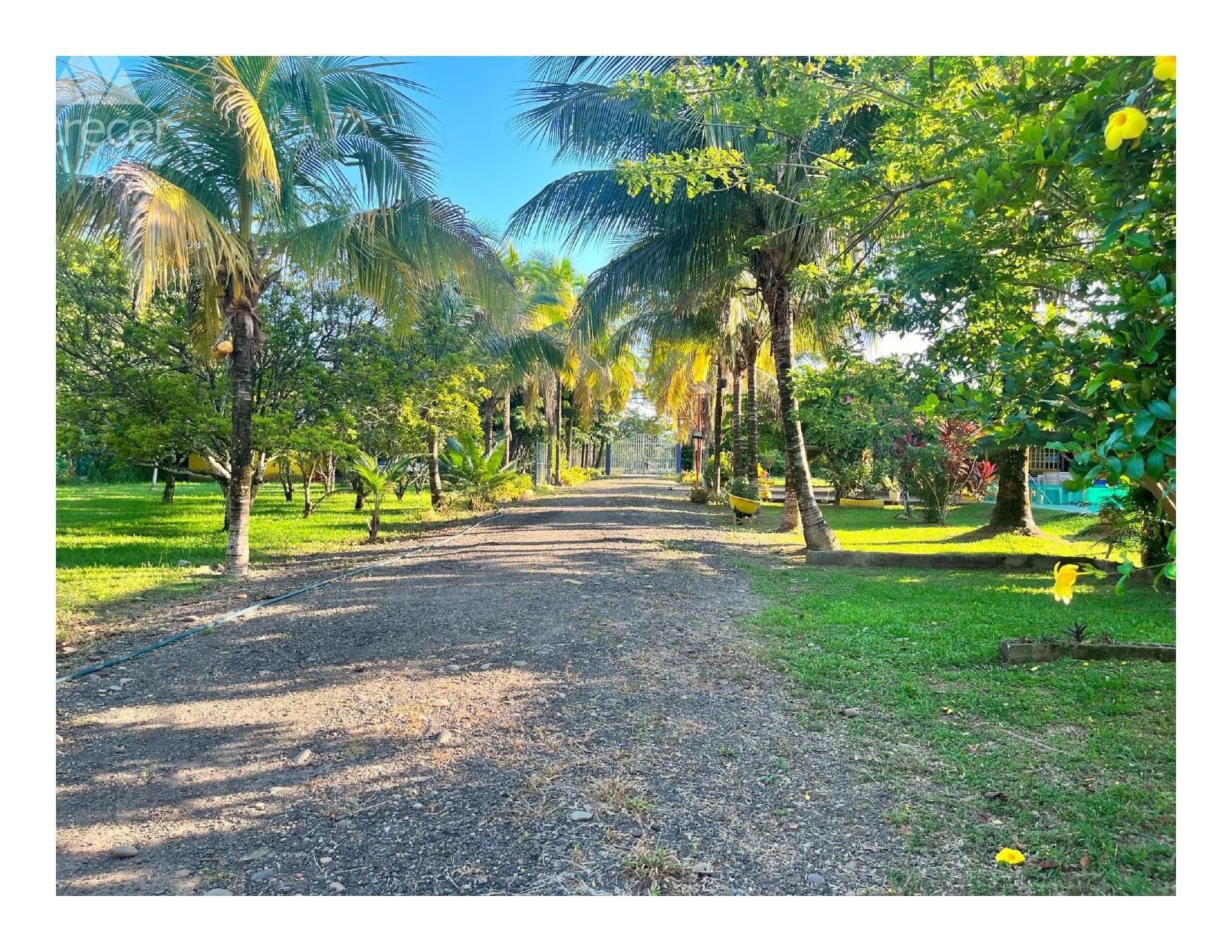 Finca en venta Meta Villavicencio Pinos 13000 m2 Habitaciones 4 Baños 4 Garajes 0 Precio $2950000000