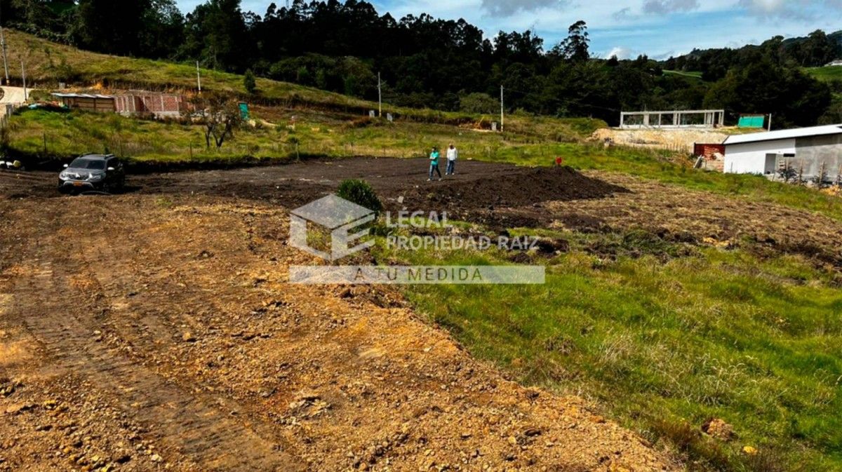 Lote en venta Antioquia San Pedro Paraje La María 2628 m2 Habitaciones 0 Baños 0 Garajes 0 Precio $230000000