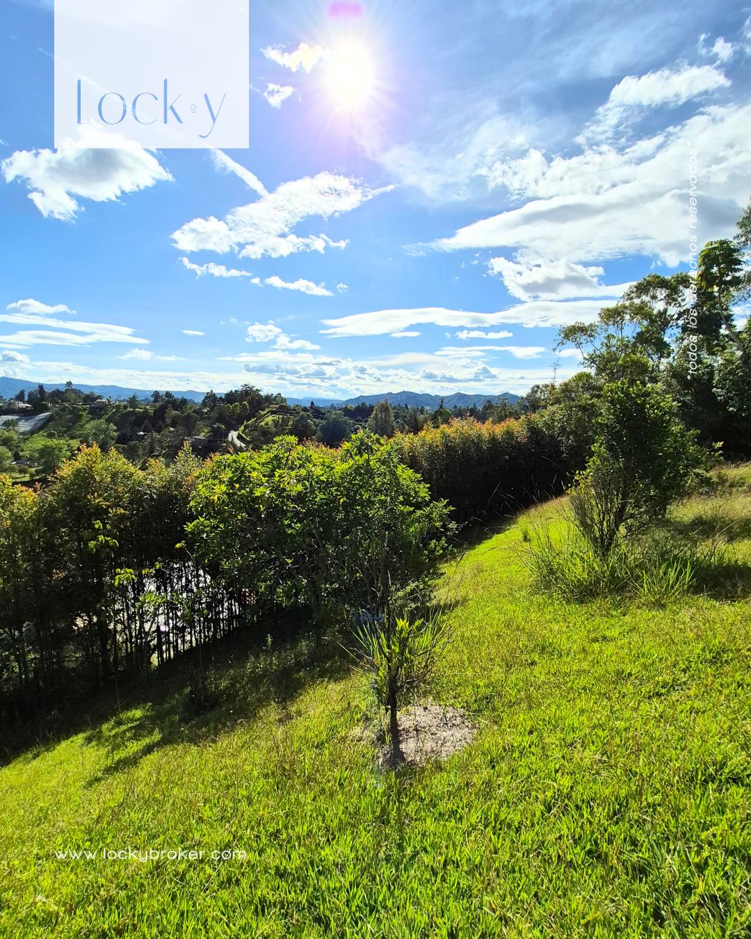 Lote en venta Antioquia Rionegro Rionegro 1 m2 Habitaciones 0 Baños 0 Garajes 0 Precio $300000000