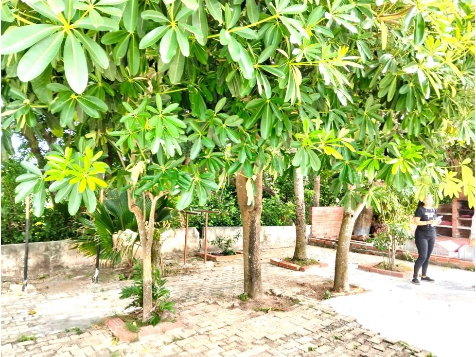 Casa en venta Atlántico Barranquilla La Playa 90 m2 Habitaciones 3 Baños 1 Garajes 0 Precio $195000000