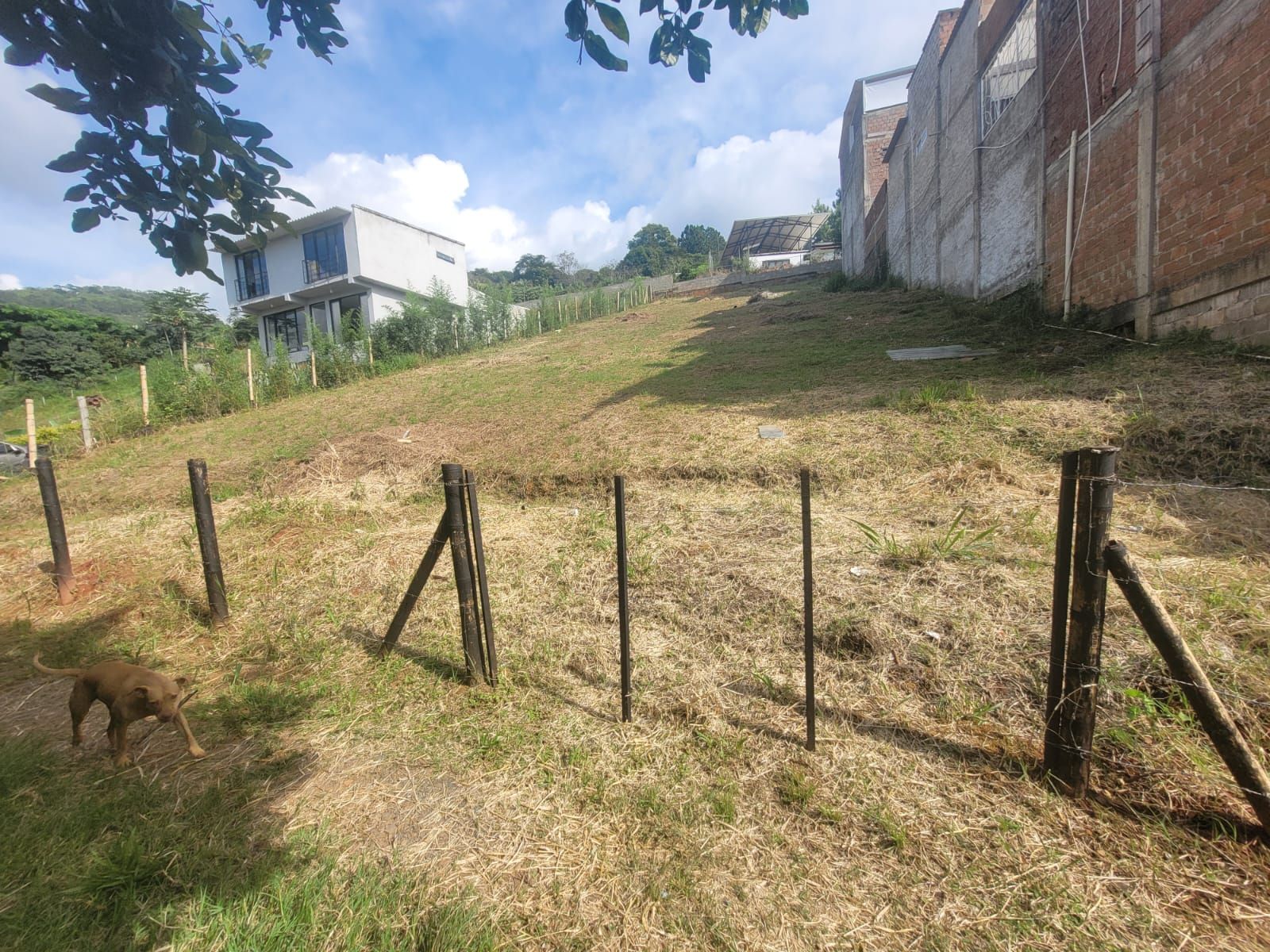 Lote en venta Valle Del Cauca Cali Cali 755 m2 Habitaciones 0 Baños 0 Garajes 0 Precio $170000000